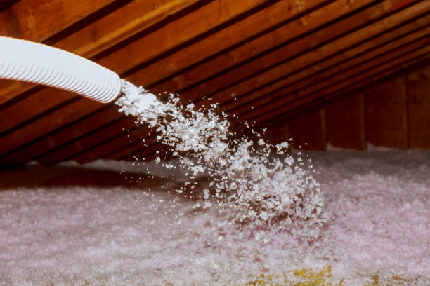 Best Energy Efficiency Insulation in Lake Holiday, VA