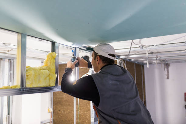 Best Cellulose Insulation in Lake Holiday, VA