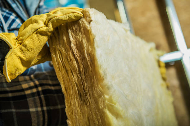Best Residential Insulation in Lake Holiday, VA