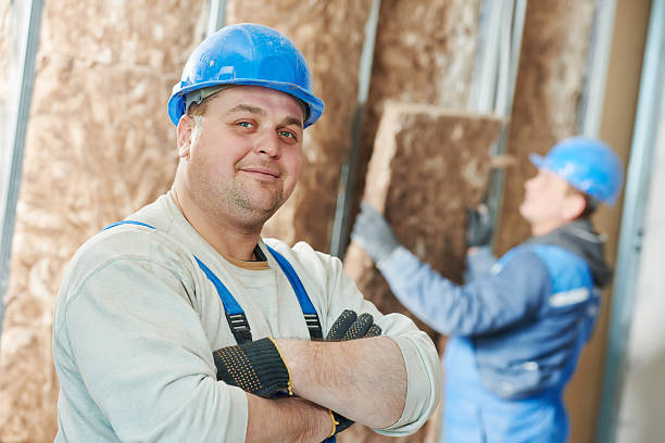 Types of Insulation We Offer in Lake Holiday, VA